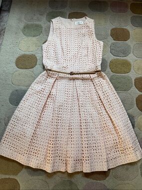 Gorgeous Eliza J. Fit & Flare Dress with Thin Belt